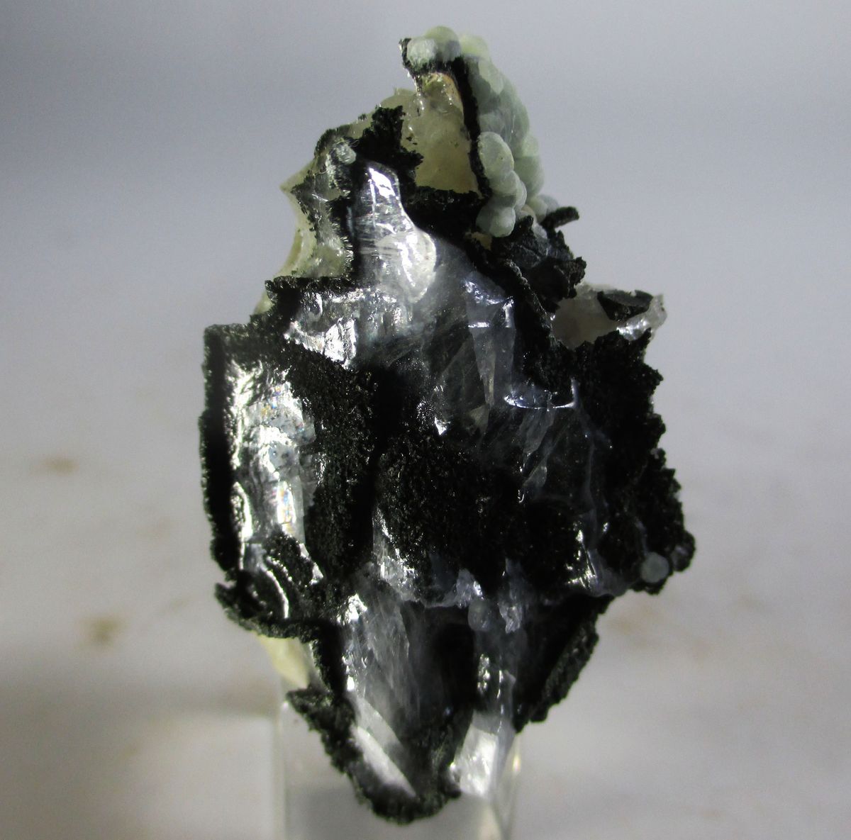 Julgoldite-(Fe2+) Prehnite & Calcite