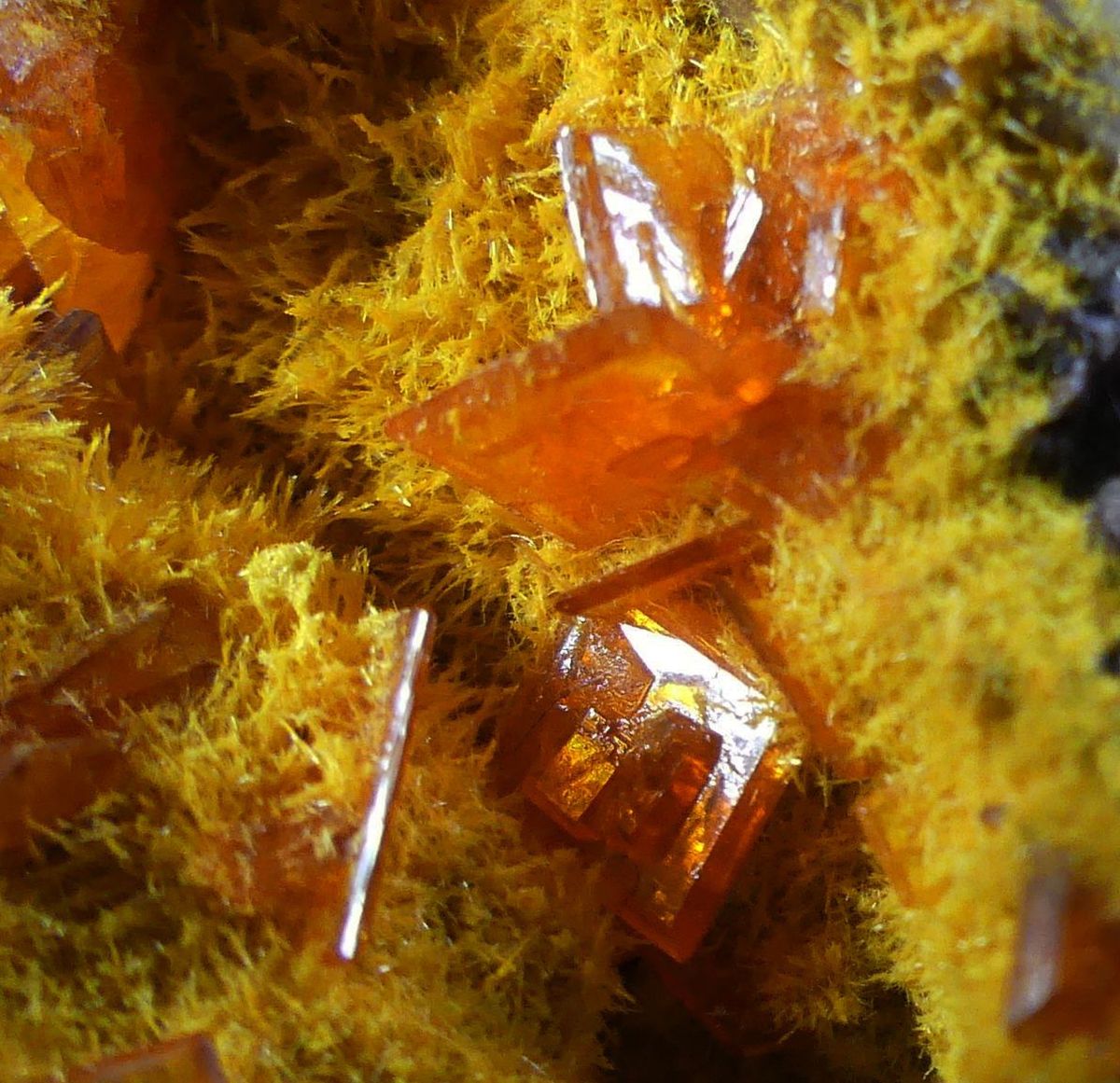 Wulfenite & Mimetite