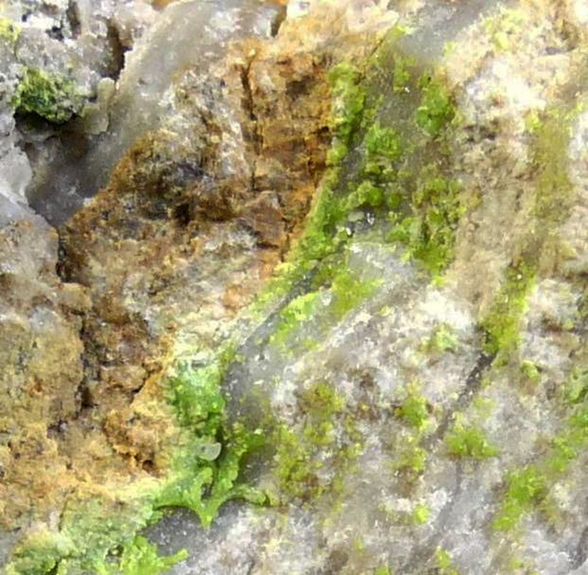Emmonsite