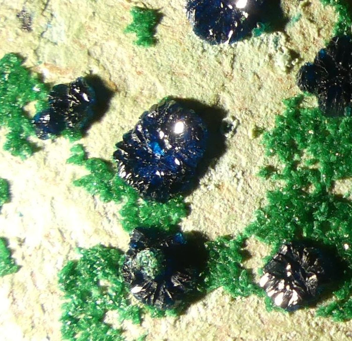 Cornetite Pseudomalachite & Libethenite