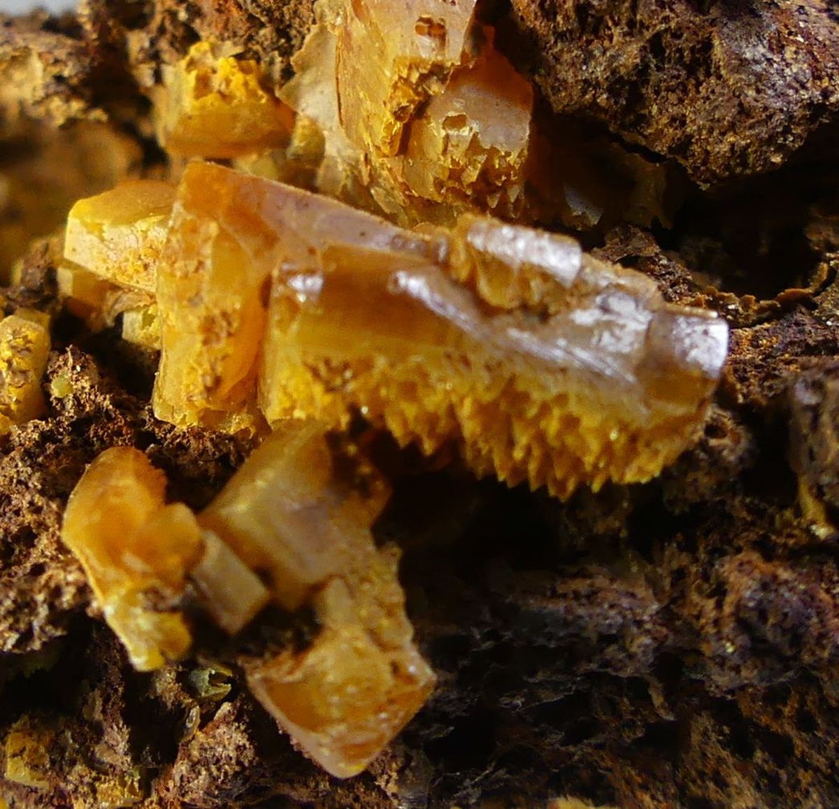 Wulfenite