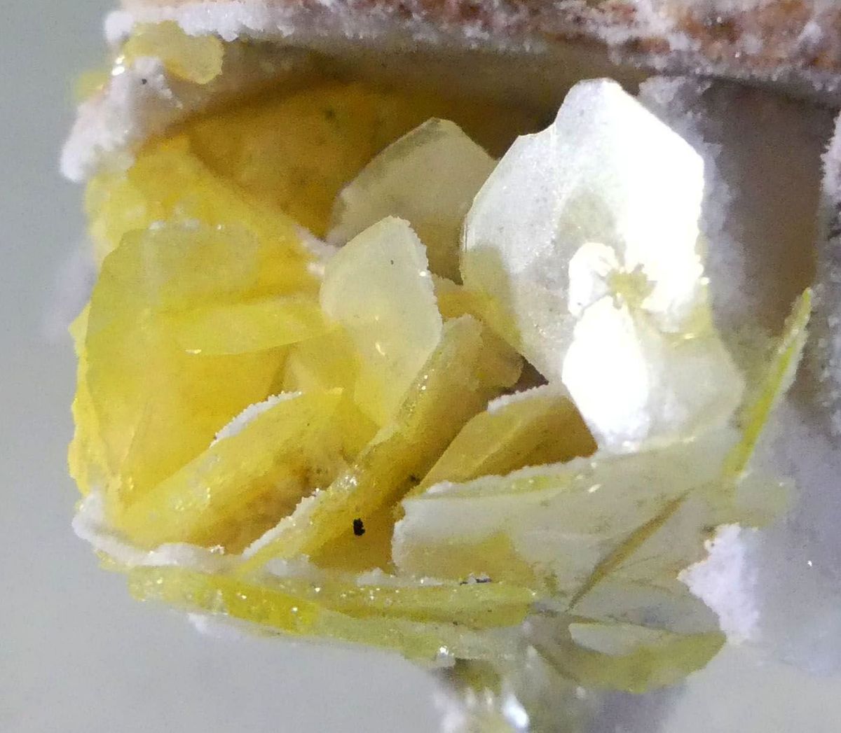 Wulfenite & Calcite Psm Wulfenite