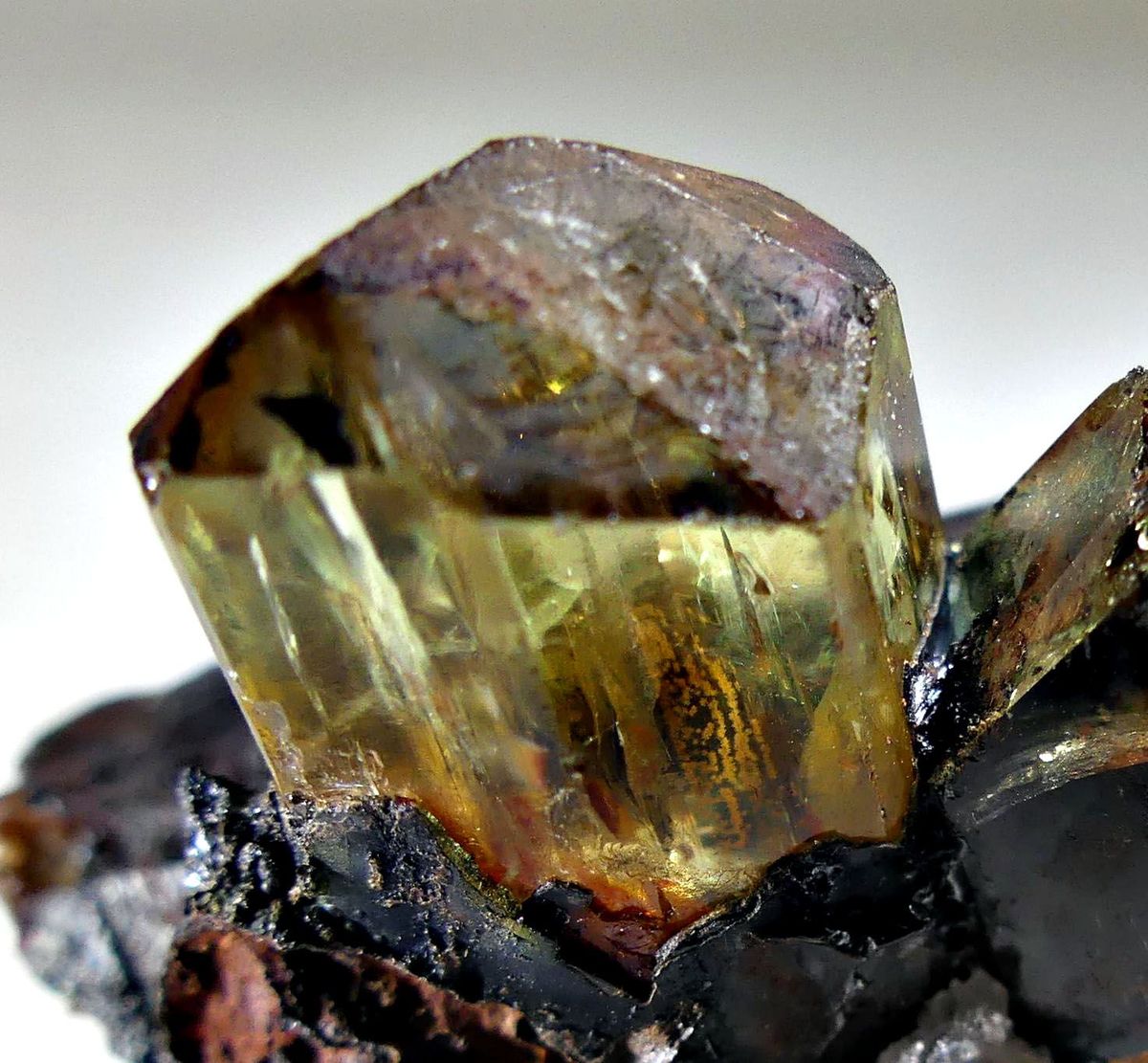 Fluorapatite