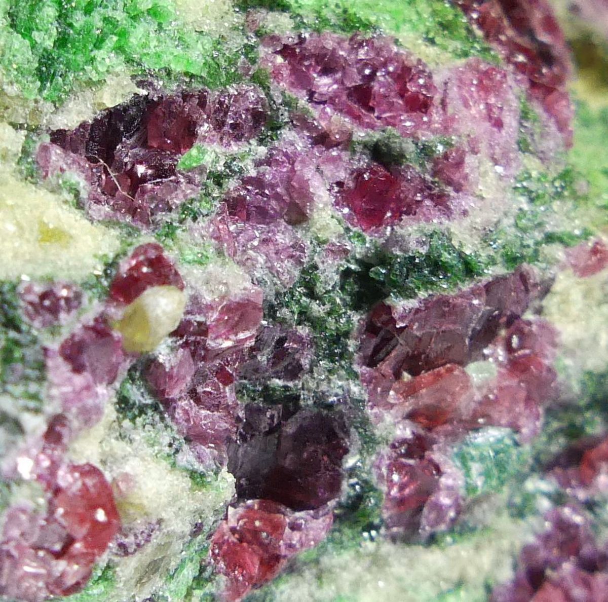 Pyrope Chromian Diopside & Forsterite