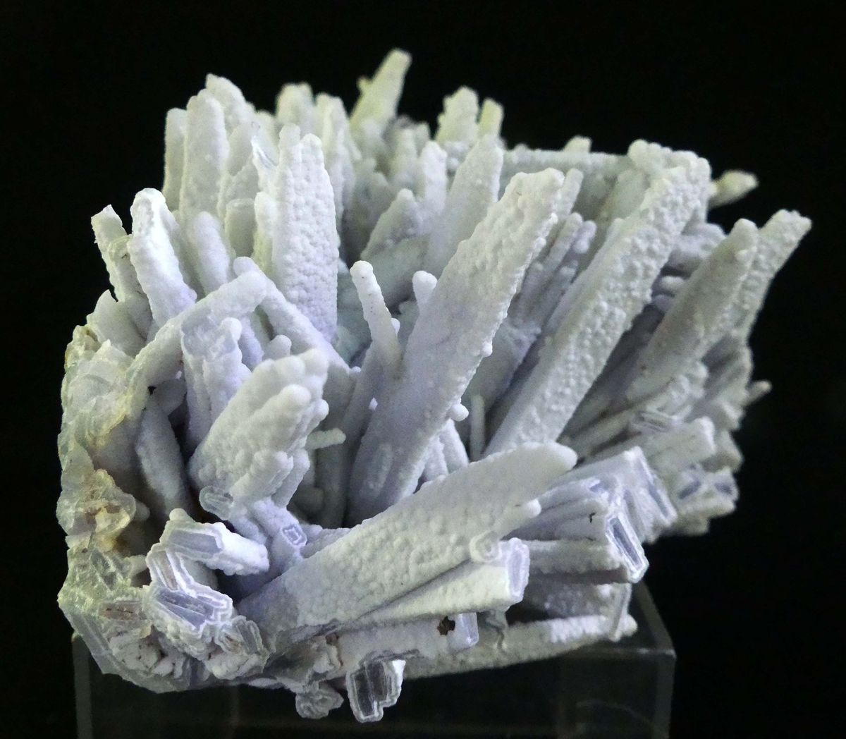 Chalcedony Psm Anhydrite