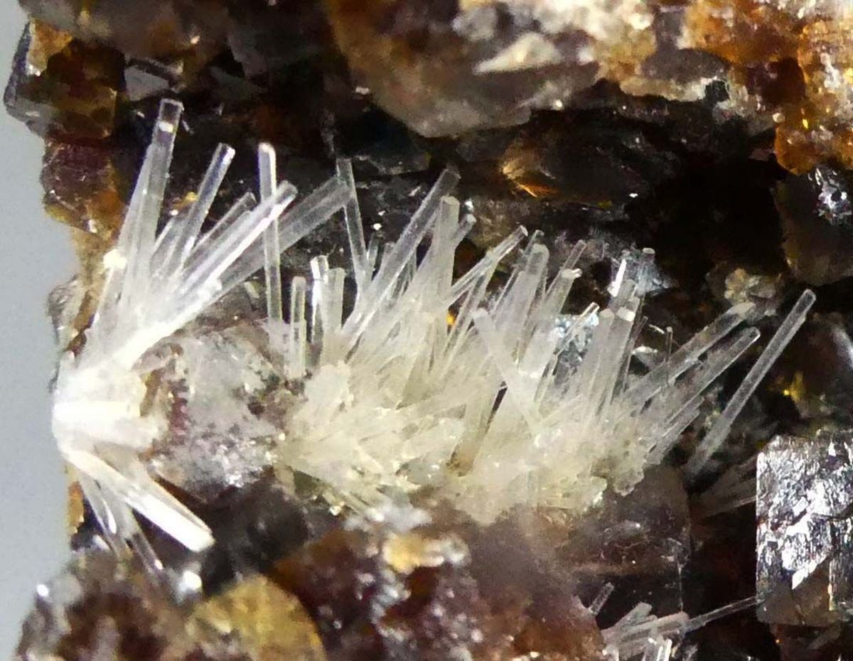 Natrolite On Calcite On Natrolite Psm Fossil Wood