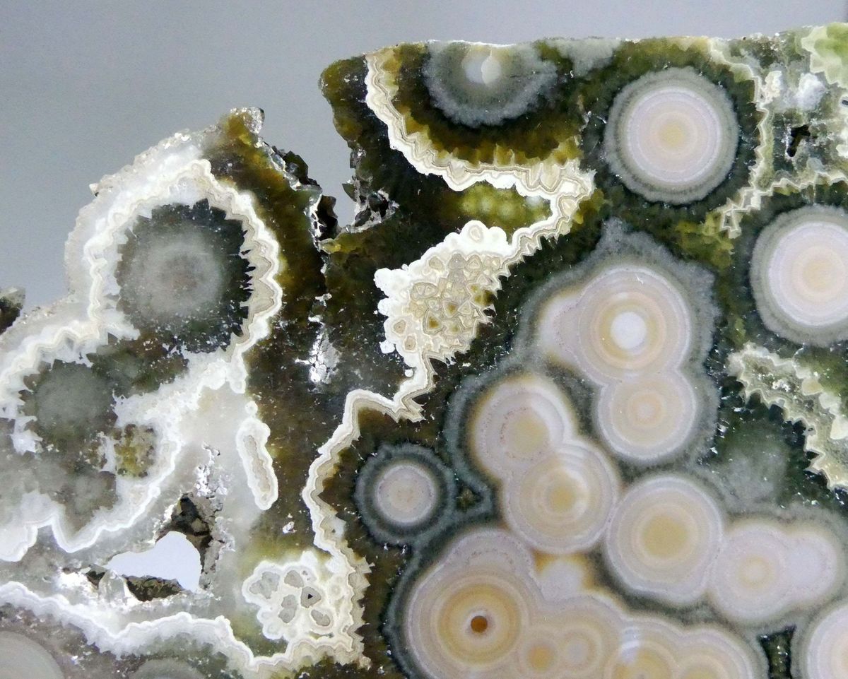 Ocean Jasper