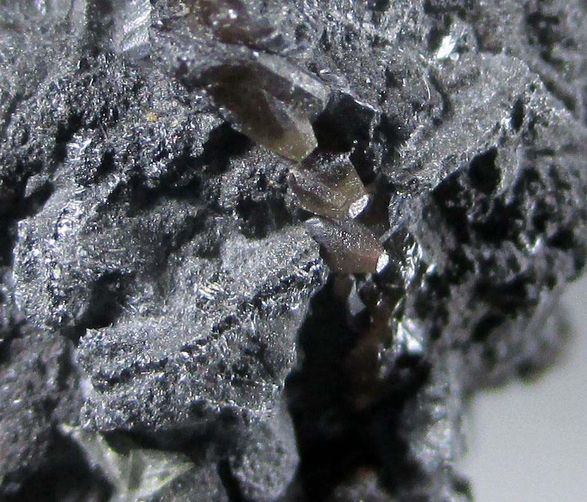 Fizélyite Siderite & Plumosite