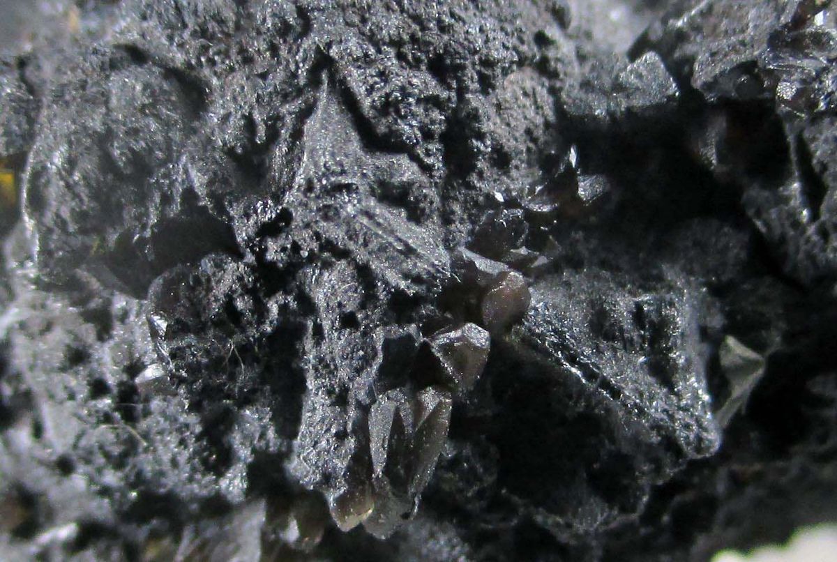 Fizélyite Siderite & Plumosite