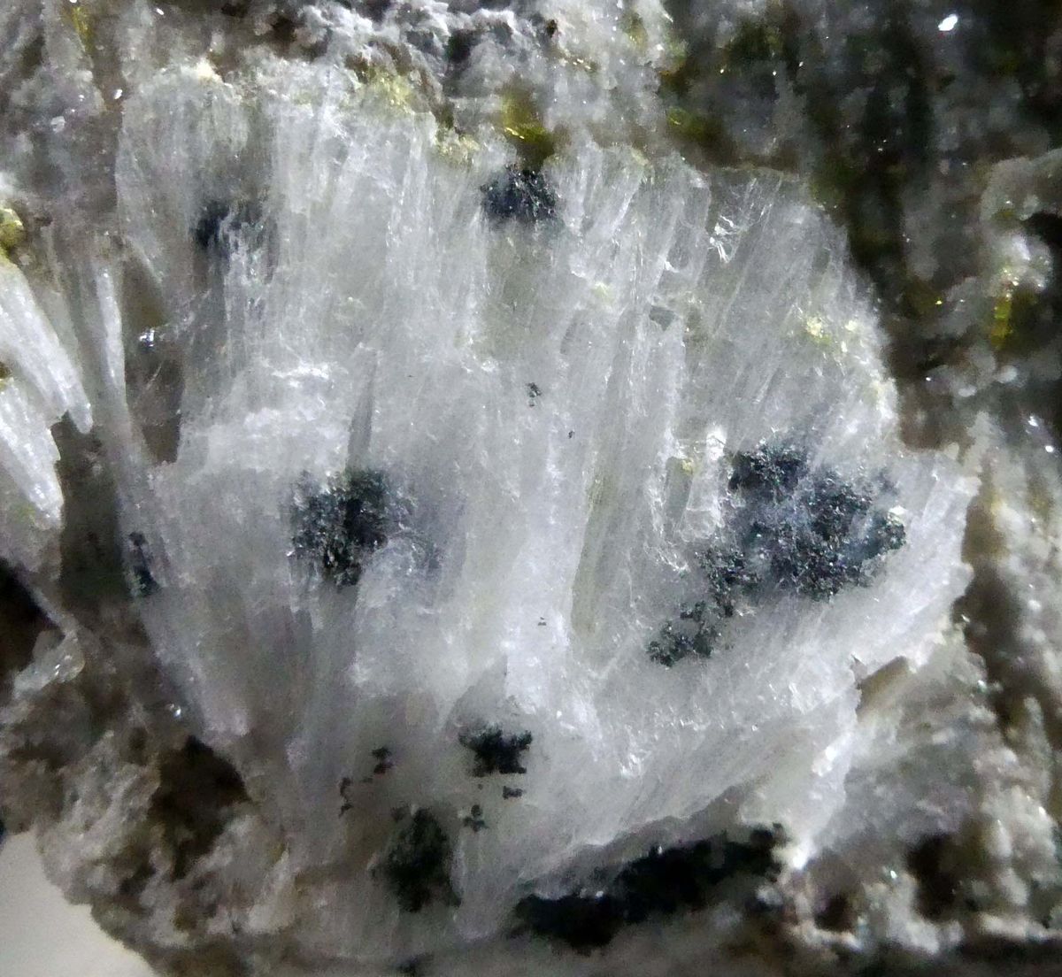 Scolecite Epidote & Clinochlore