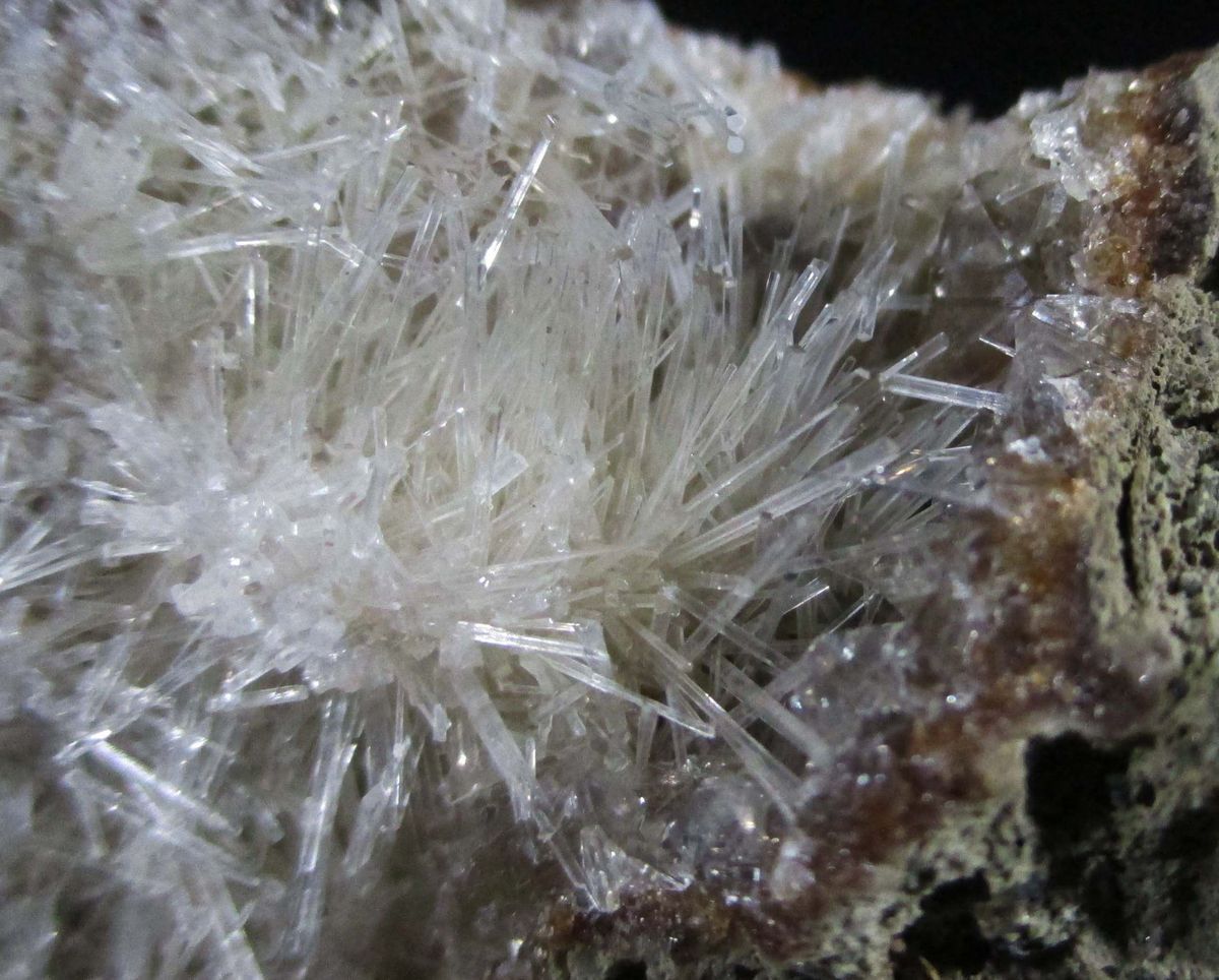 Natrolite Psm Fossil Wood & Calcite