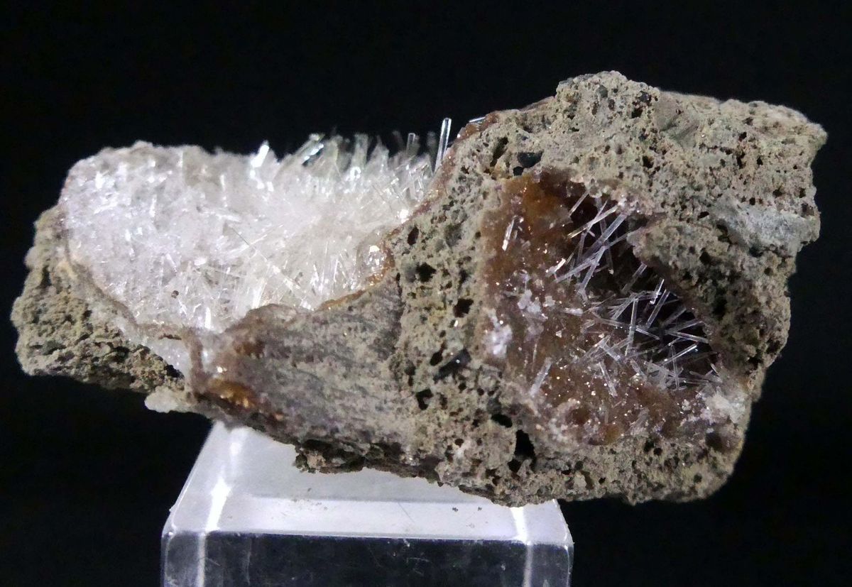 Natrolite Psm Fossil Wood & Calcite