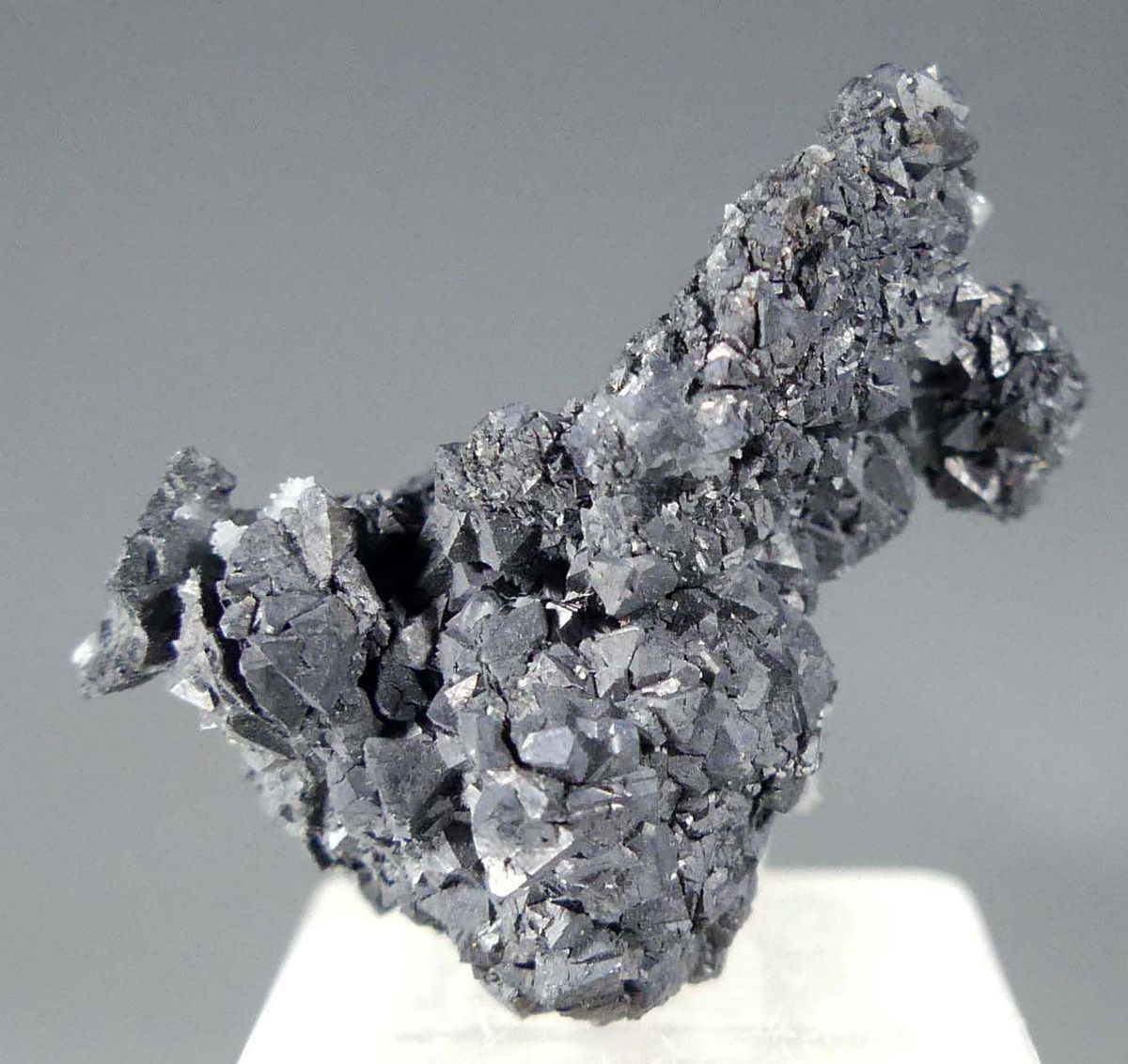 Gersdorffite