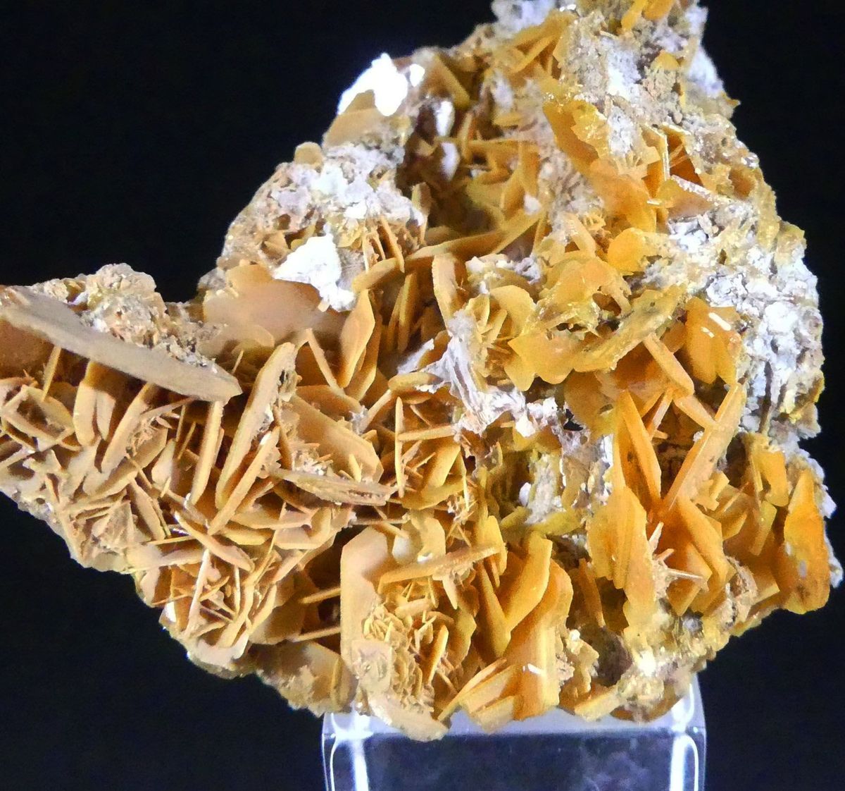 Wulfenite