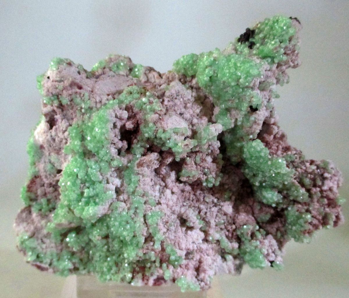Cuprian Smithsonite With Cerussite