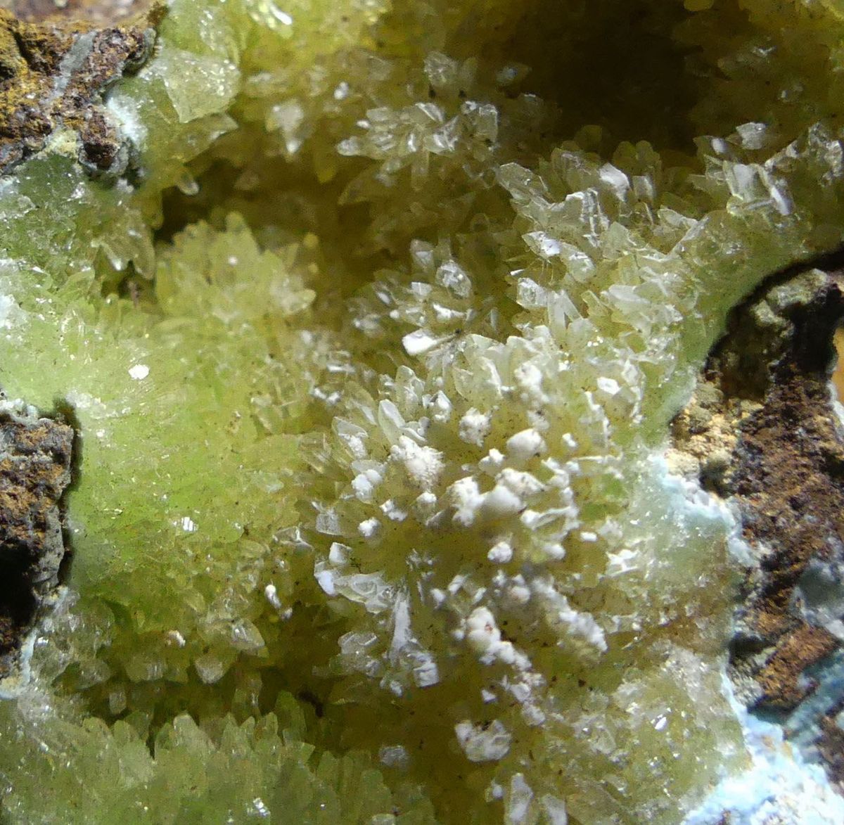 Senegalite With Crandallite & Wavellite