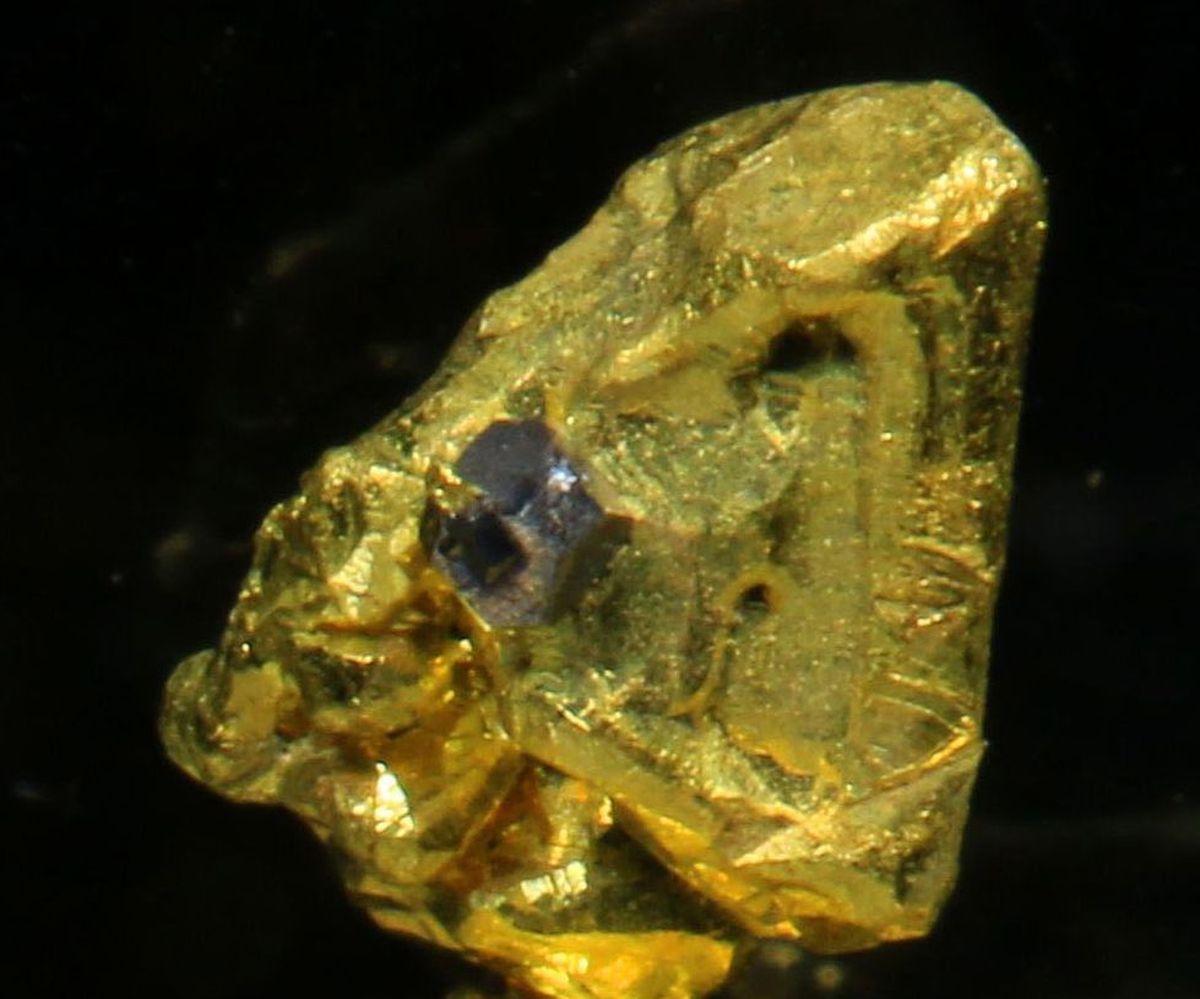 Native Gold With Petzite