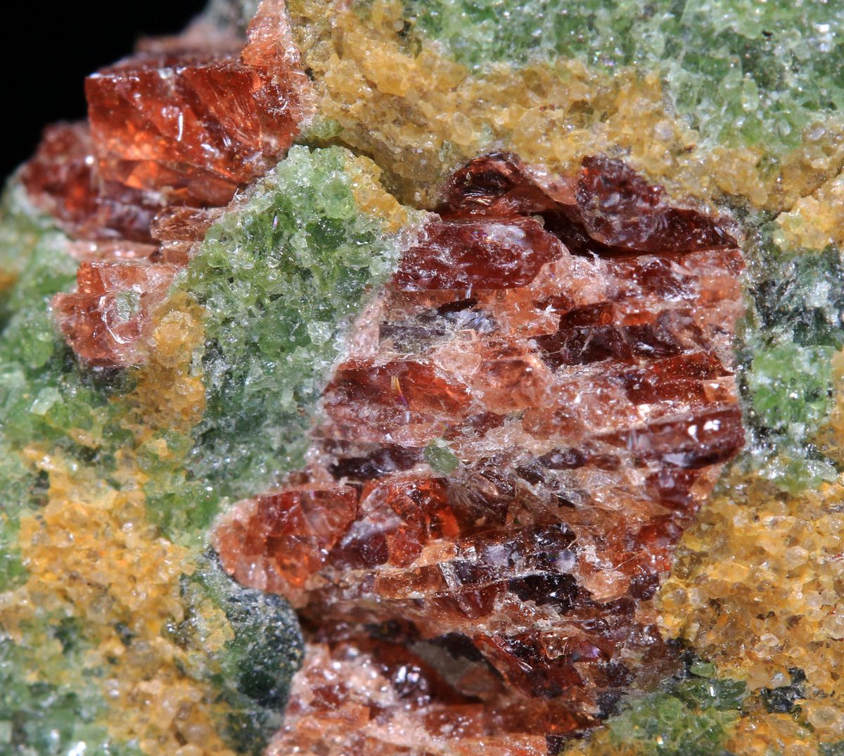 Pyrope Chromian Diopside & Forsterite