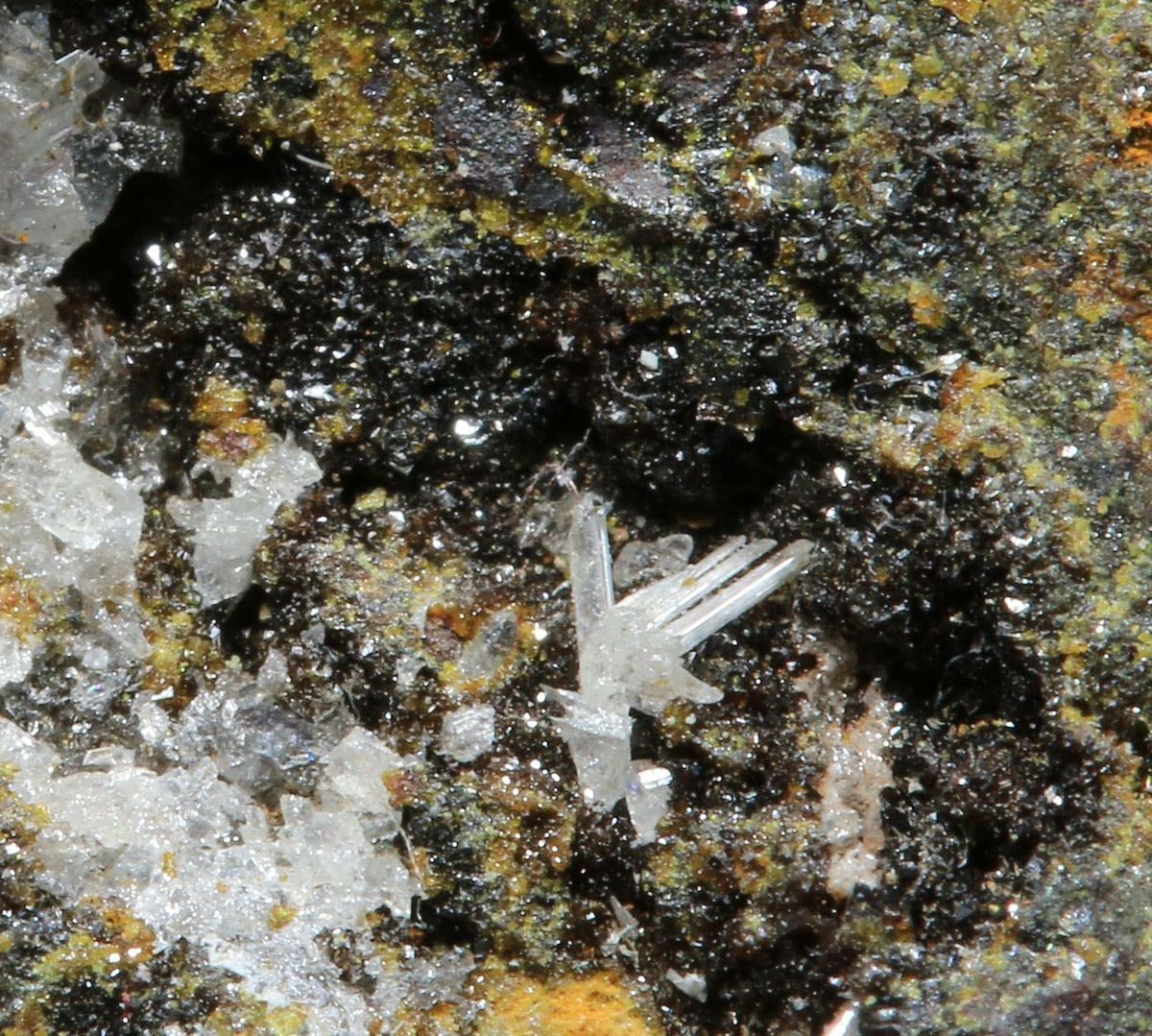 Carminite Corkite Beudantite Cerussite & Pharmacosiderite