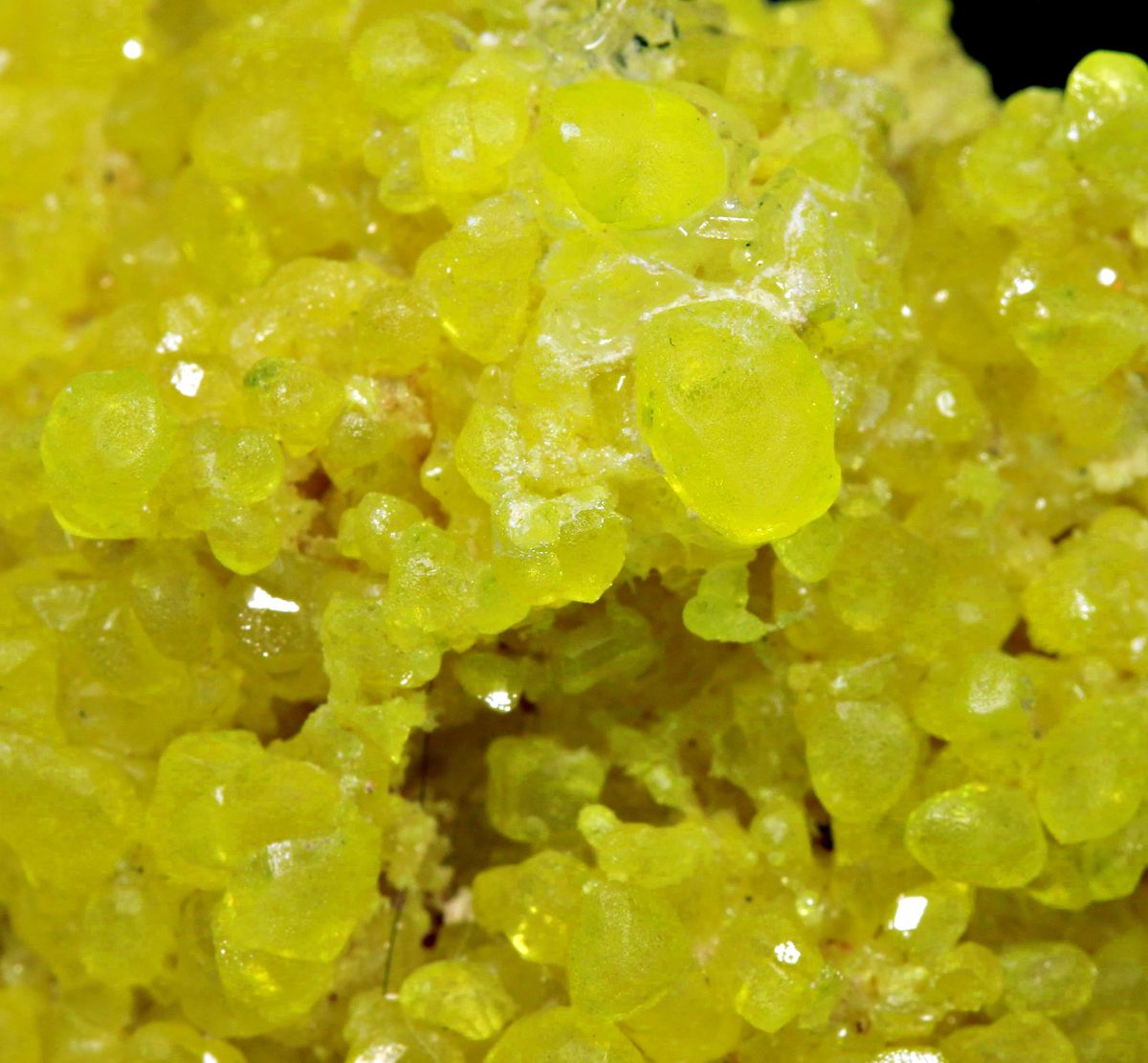 Native Sulphur