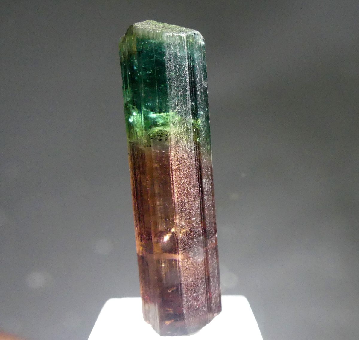 Watermelon Tourmaline