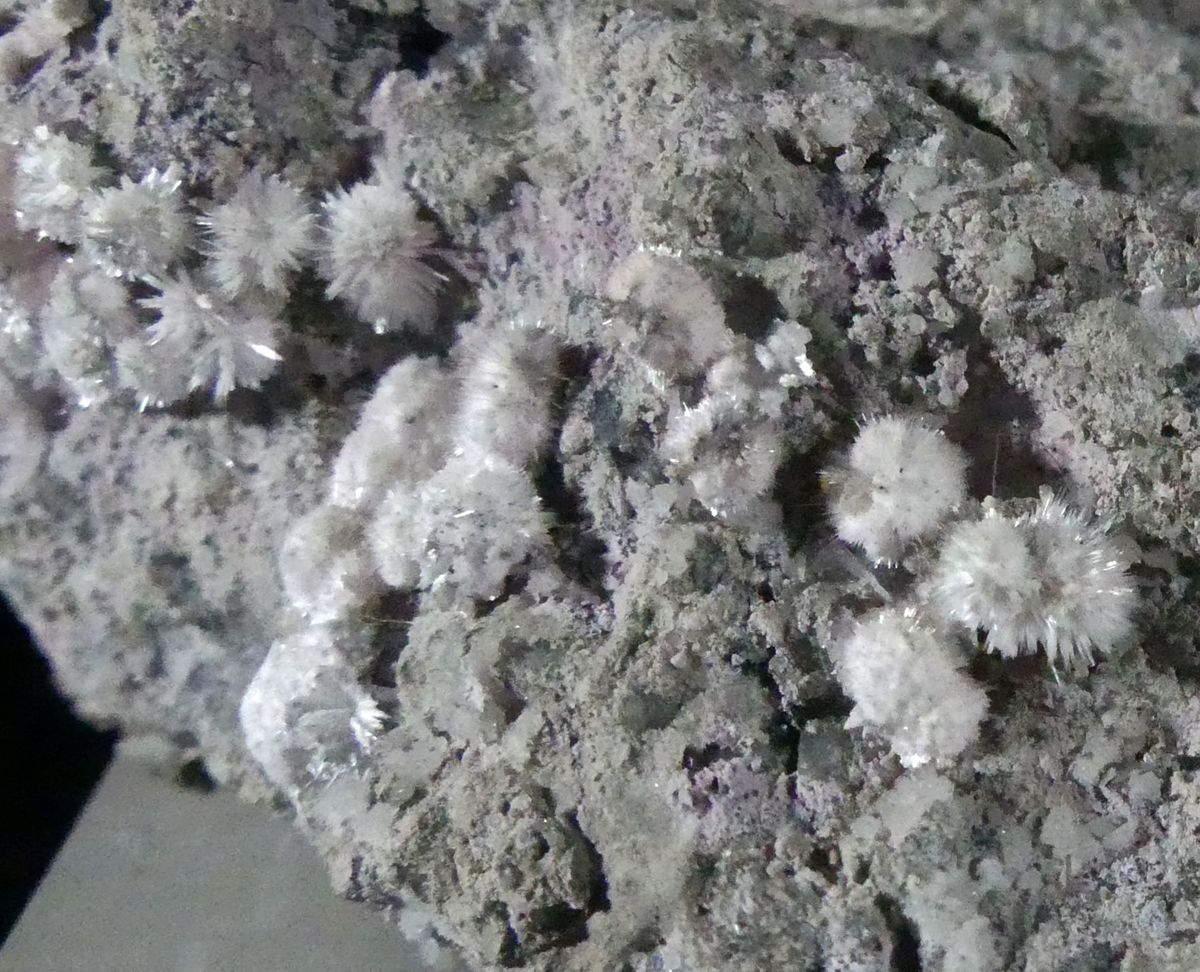 Picropharmacolite