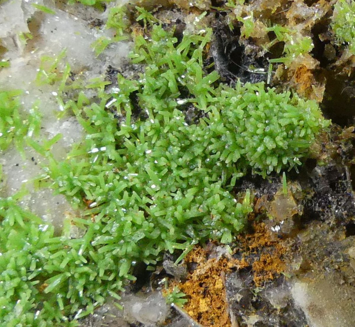 Pyromorphite On Quartz