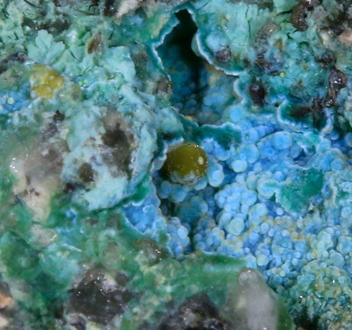 Eulytine Beyerite & Namibite On Chrysocolla