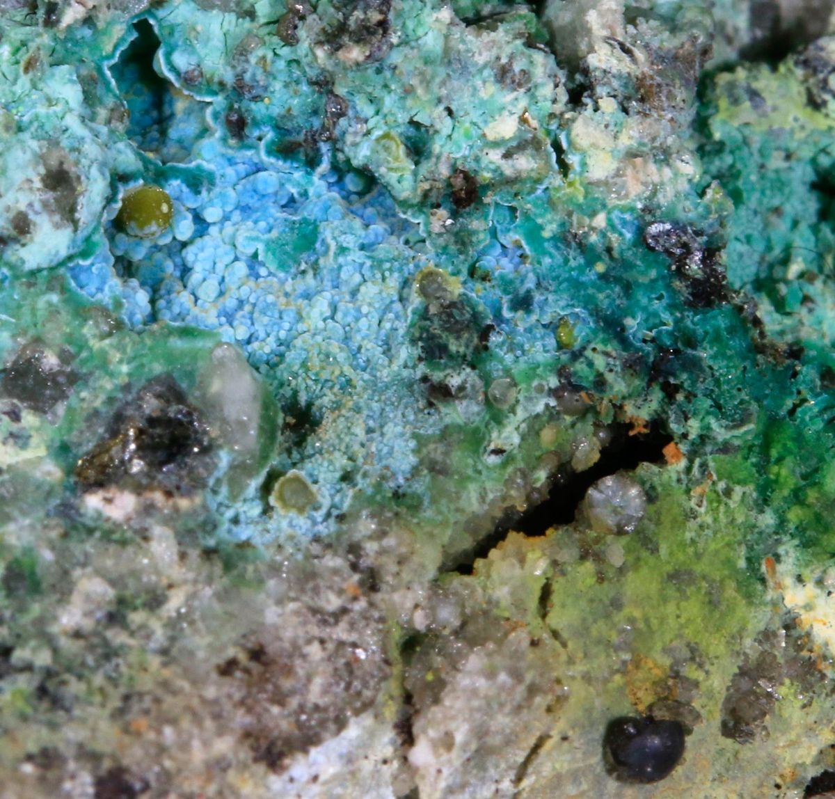Eulytine Beyerite & Namibite On Chrysocolla