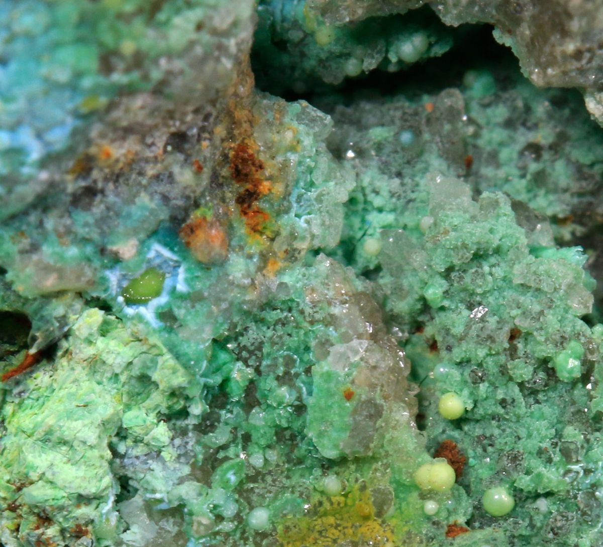 Eulytine Beyerite & Namibite On Chrysocolla