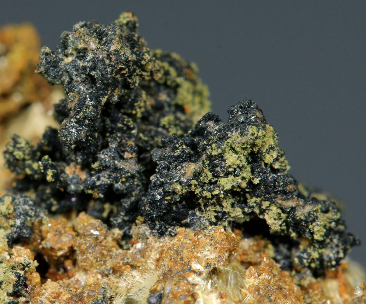 Bassetite Pseudolaueite Strunzite Bermanite Robertsite Rockbridgeite & Mitridatite