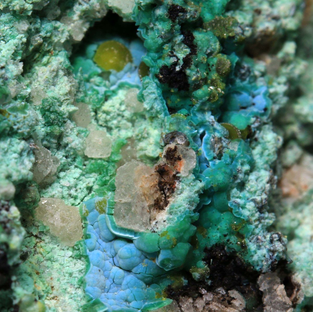 Eulytine With Hechtsbergite Biotite & Chrysocolla