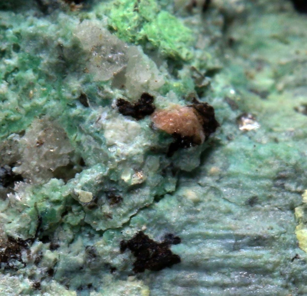 Eulytine With Hechtsbergite Biotite & Chrysocolla