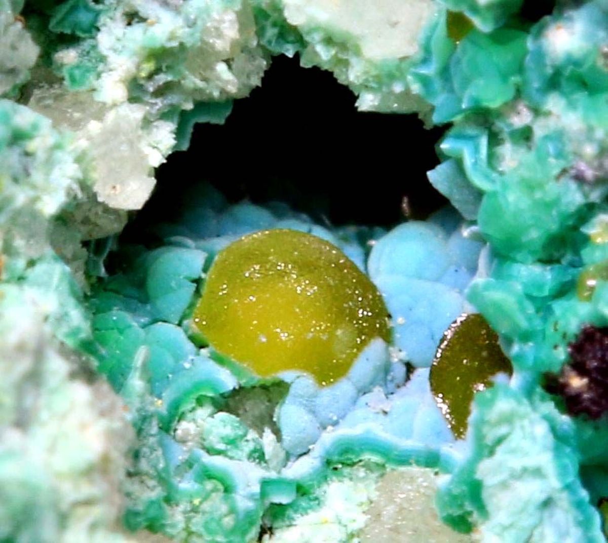 Eulytine With Hechtsbergite Biotite & Chrysocolla