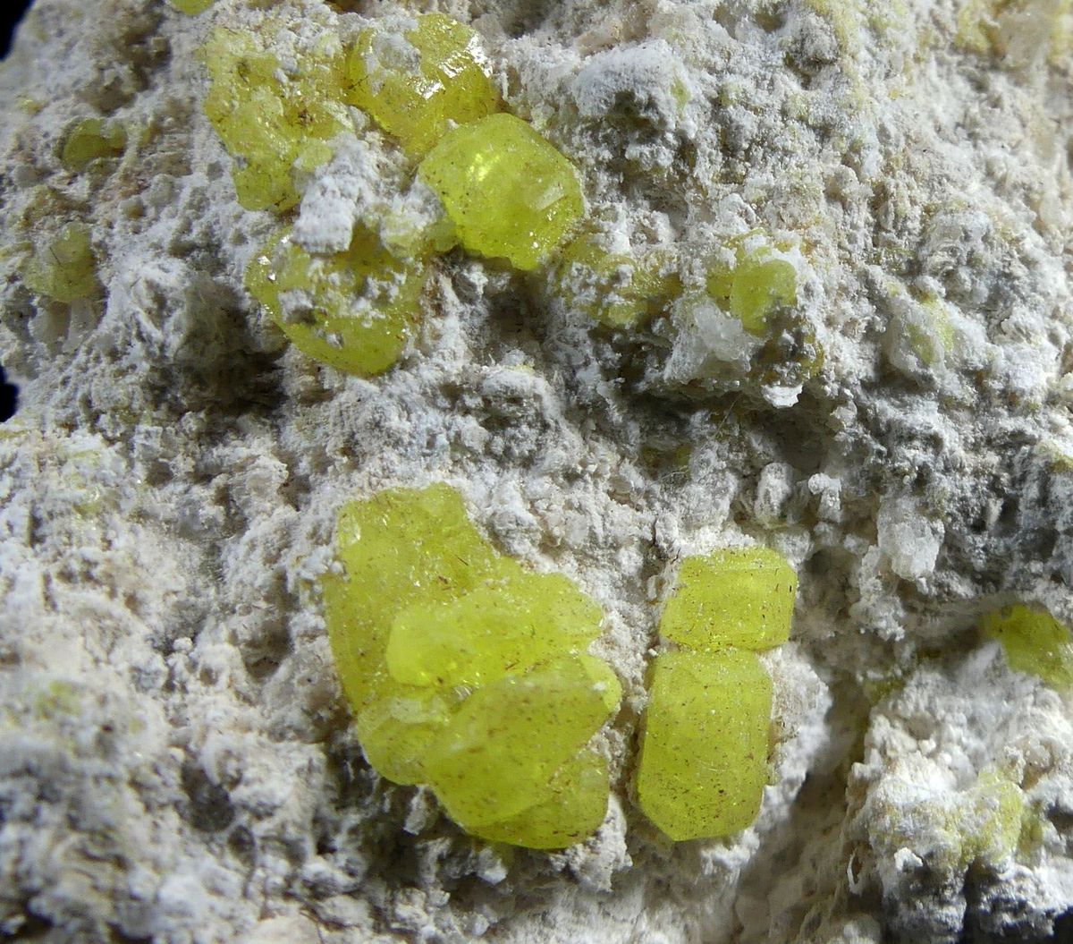 Native Sulphur