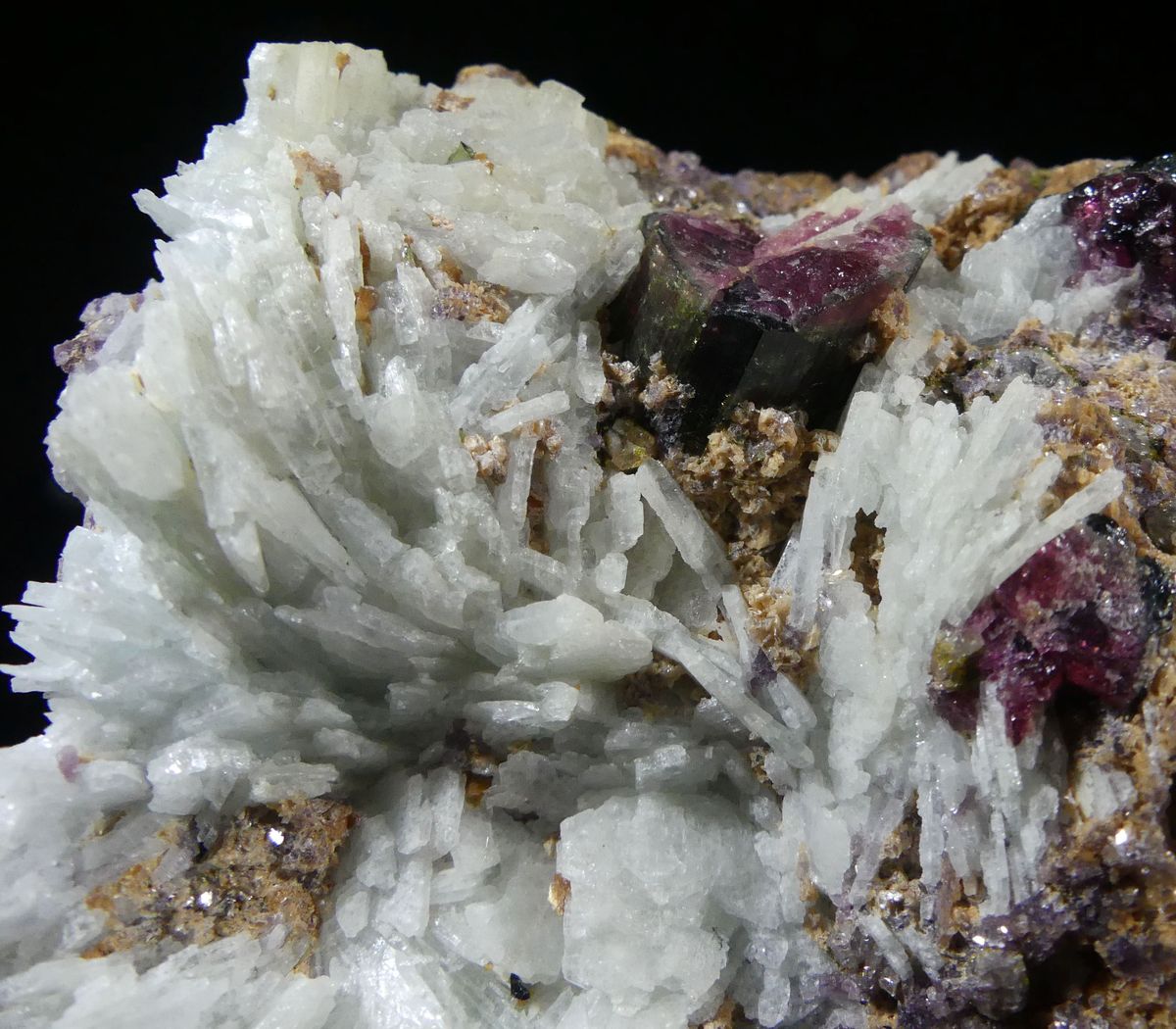 Tourmaline Cleavelandite & Lepidolite