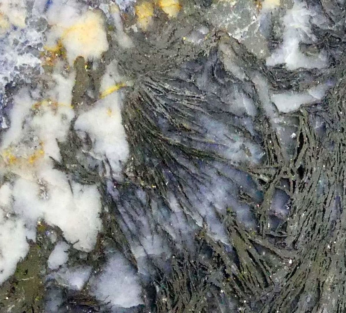 Feather Pyrite