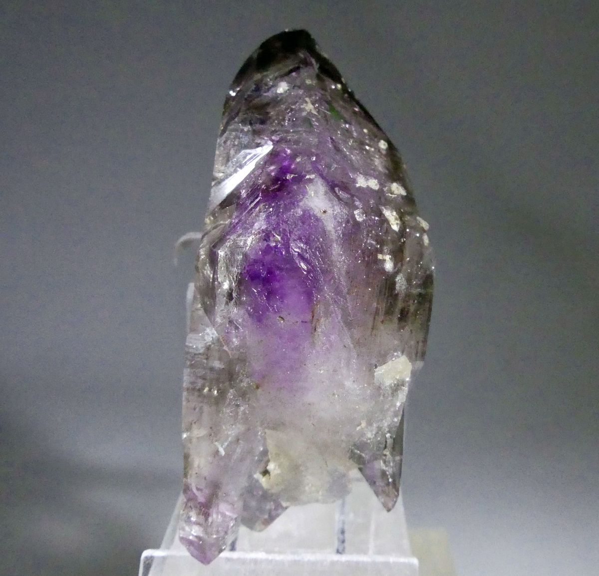 Amethyst Enhydro