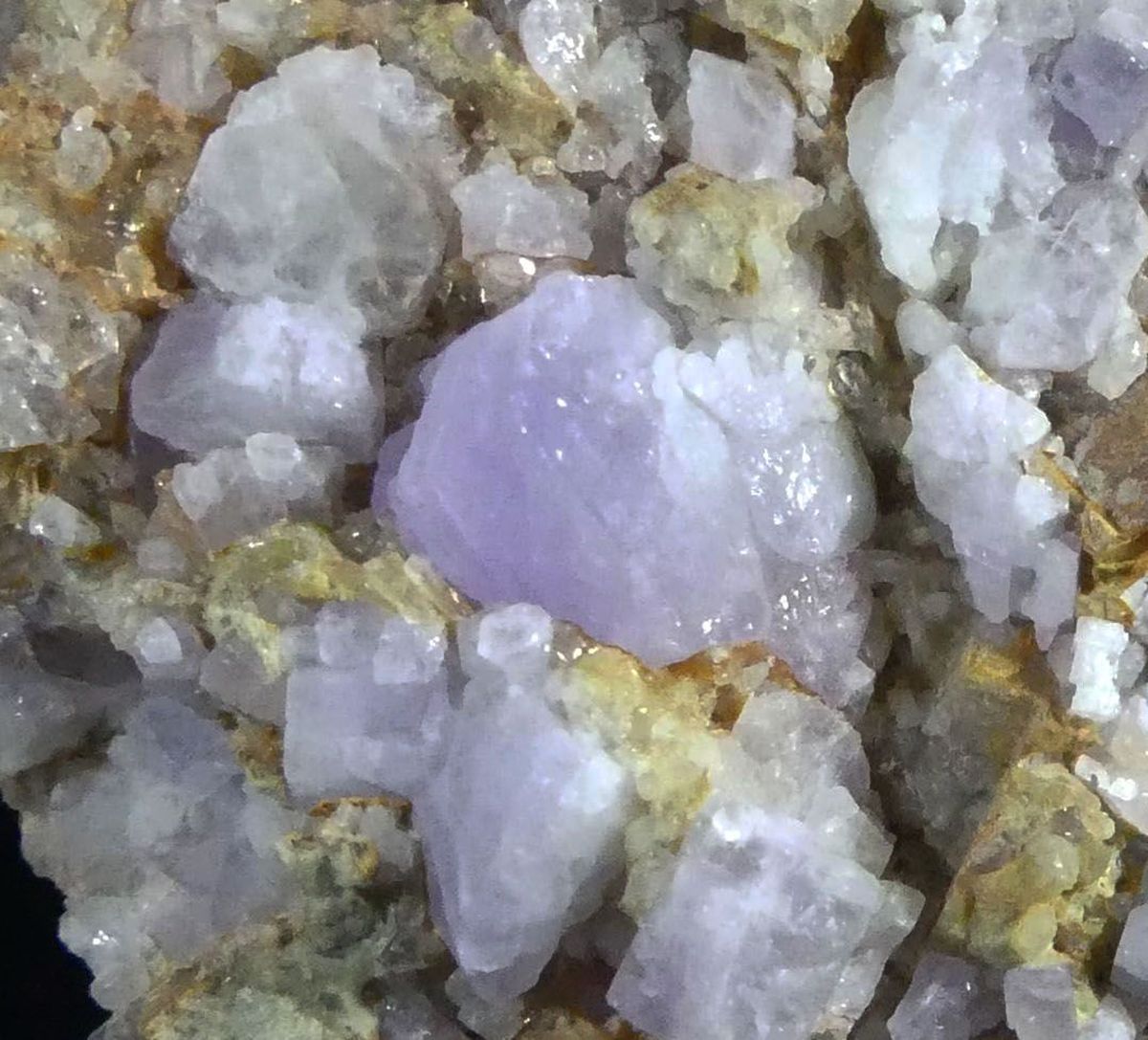 Fluorapatite