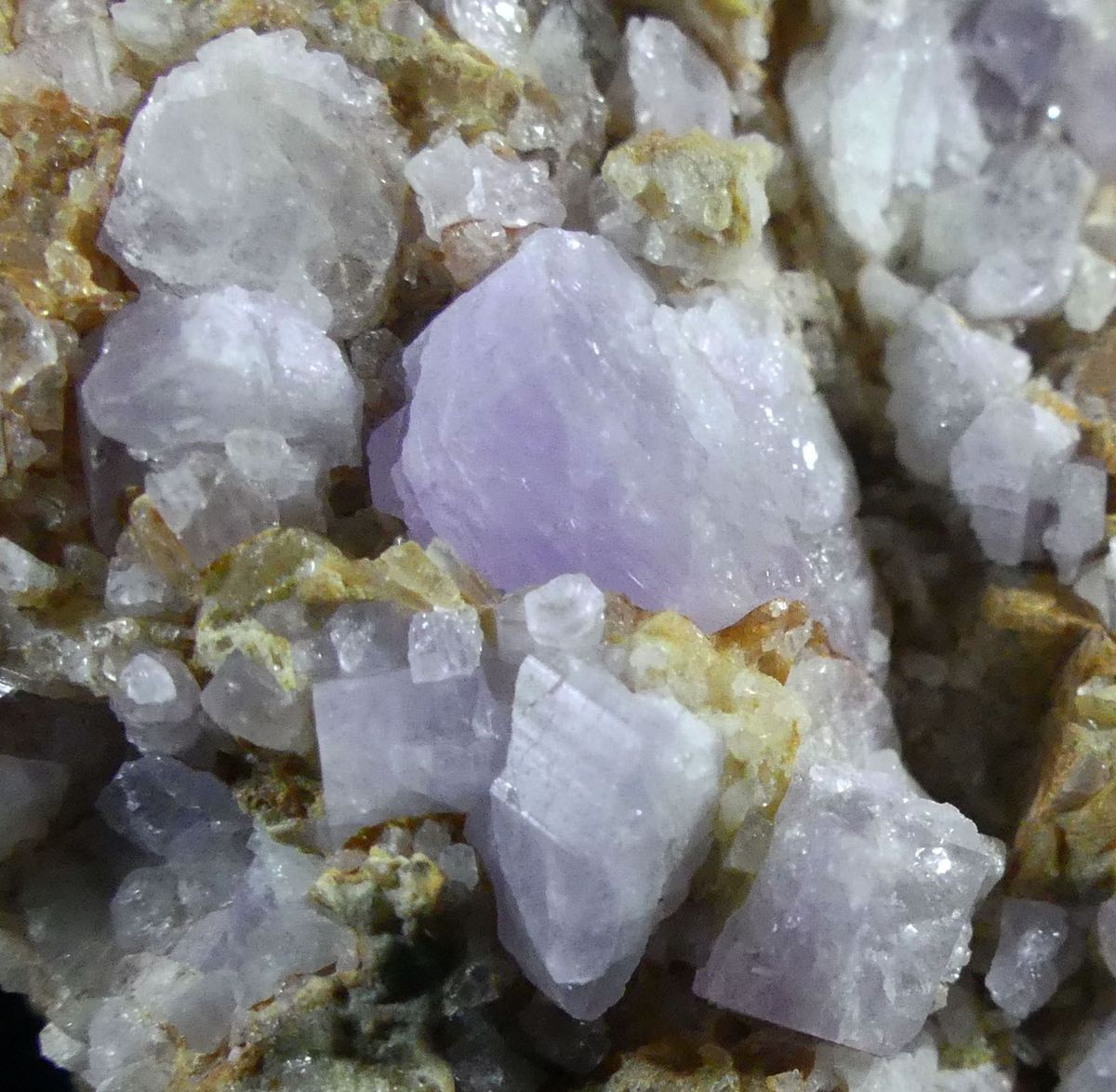 Fluorapatite