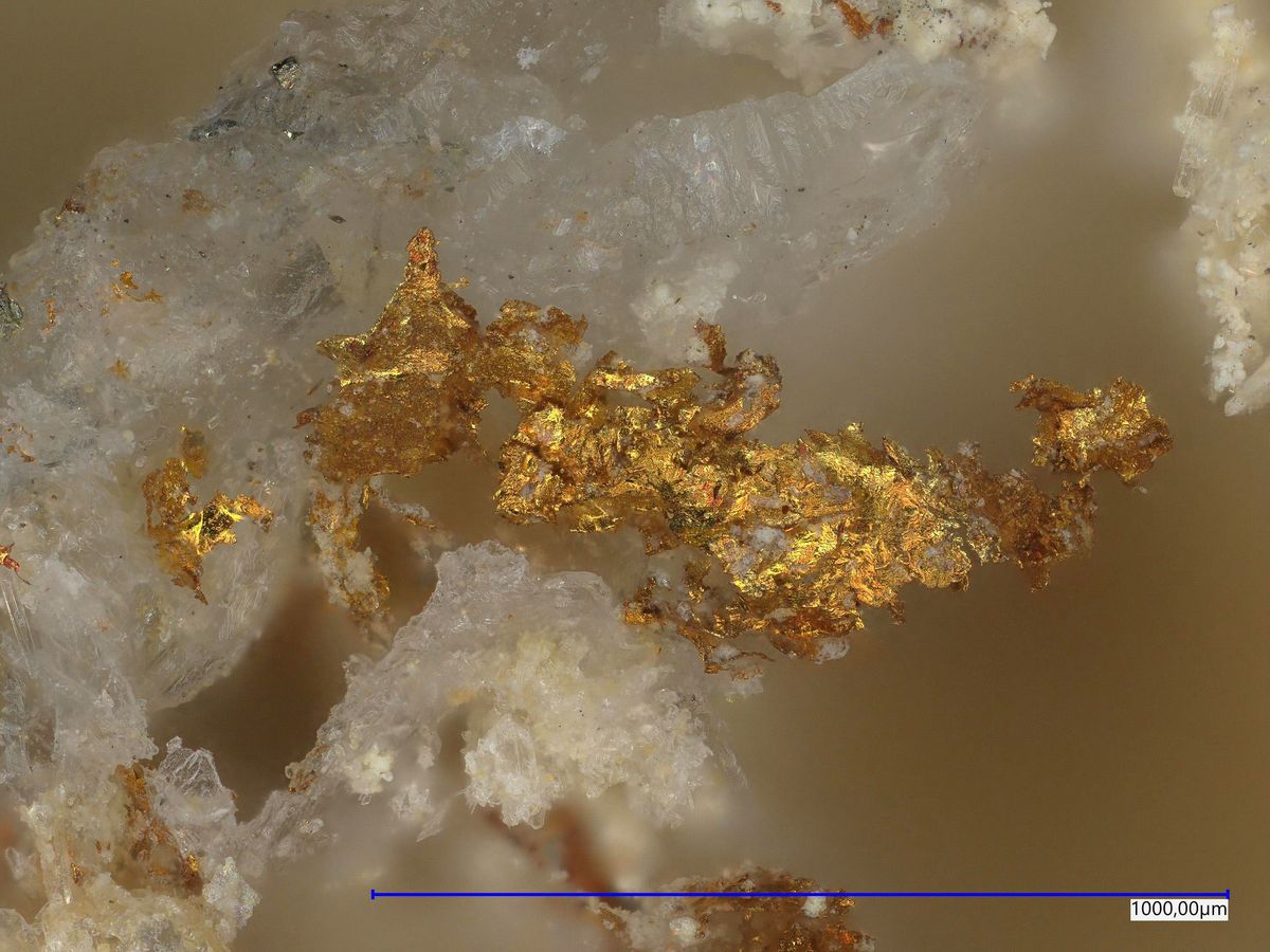 Native Gold & Tetradymite