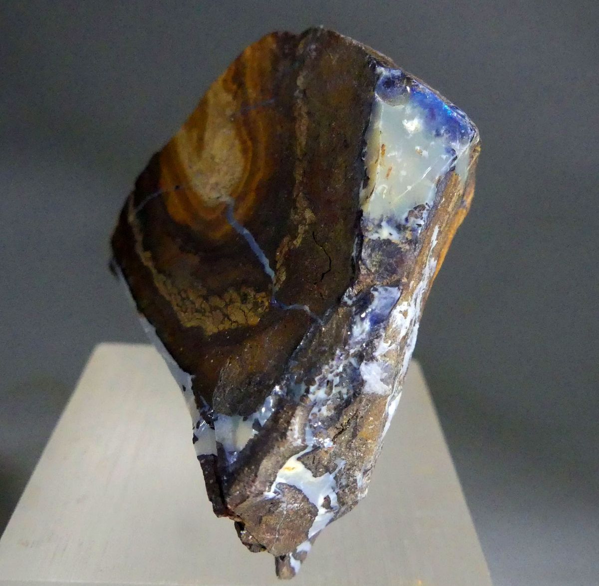 Boulder Opal