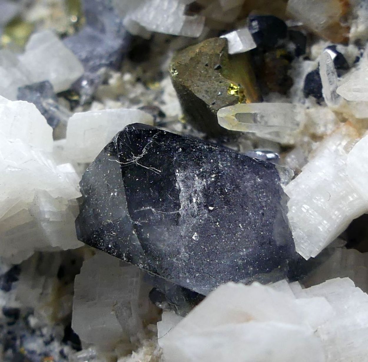 Scheelite With Galena Dolomite Quartz & Chalcopyrite