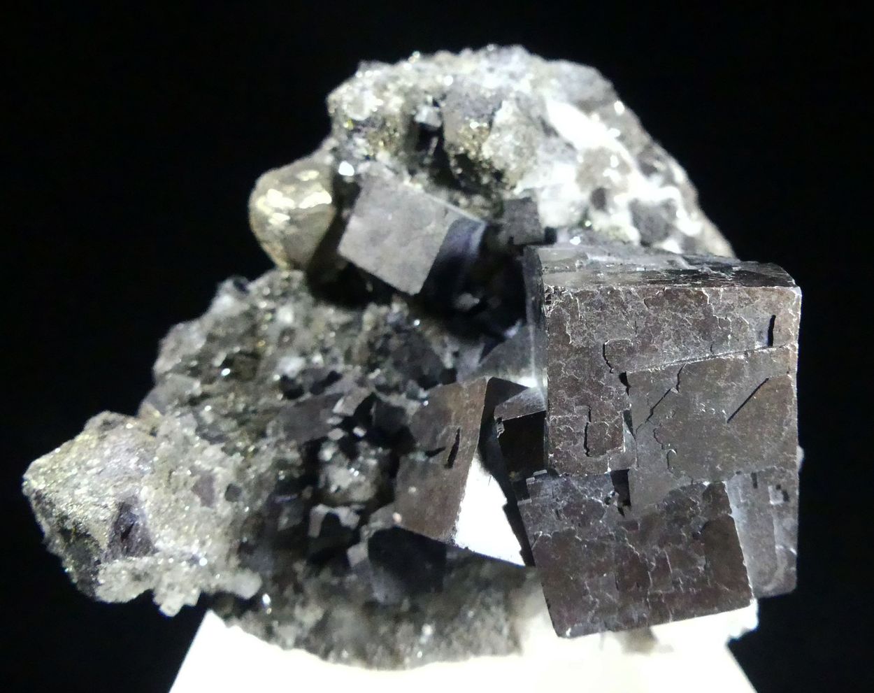 Galena & Pyrite