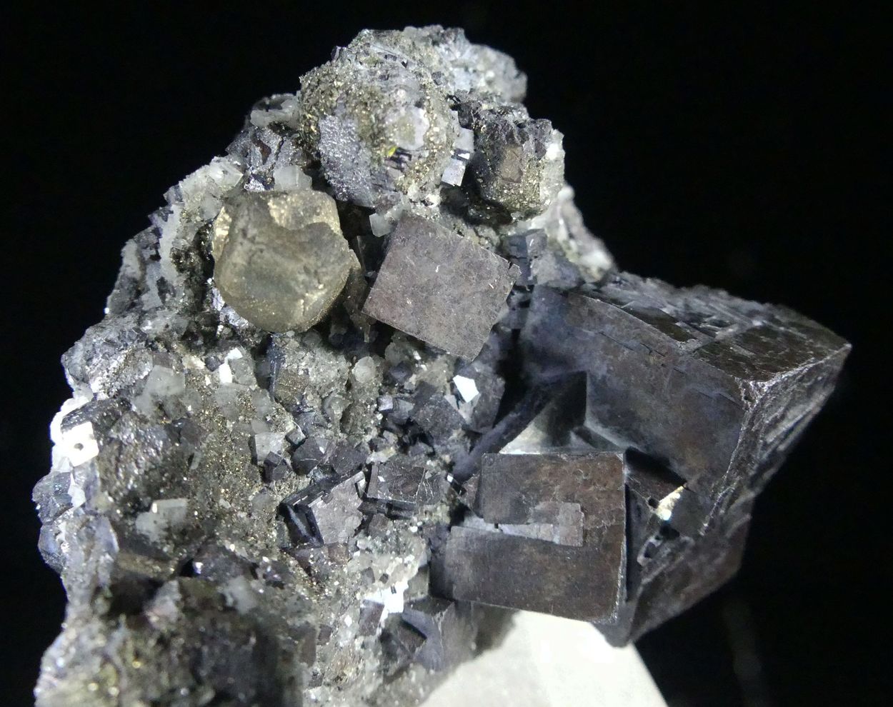 Galena & Pyrite