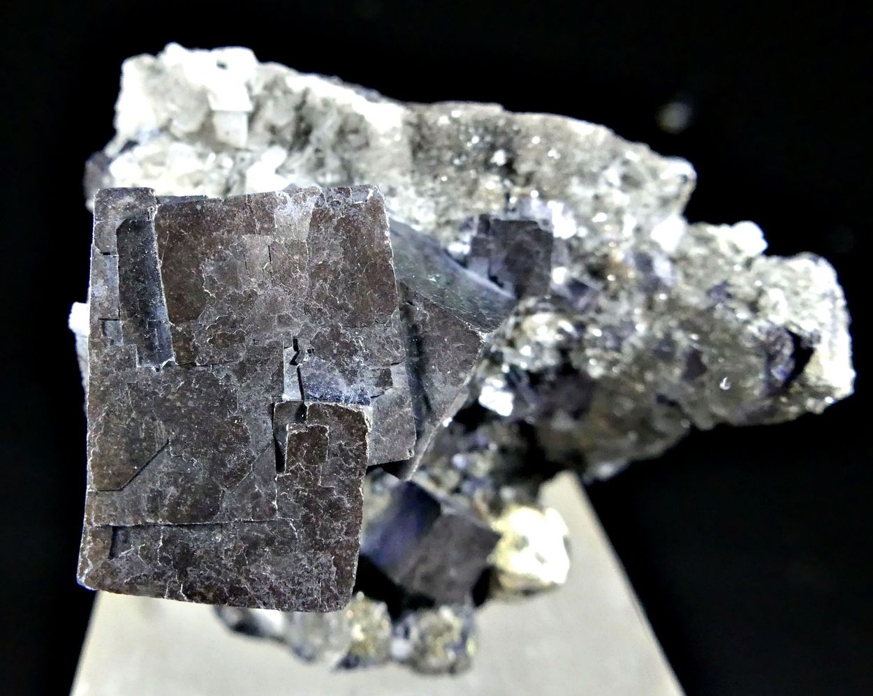 Galena & Pyrite