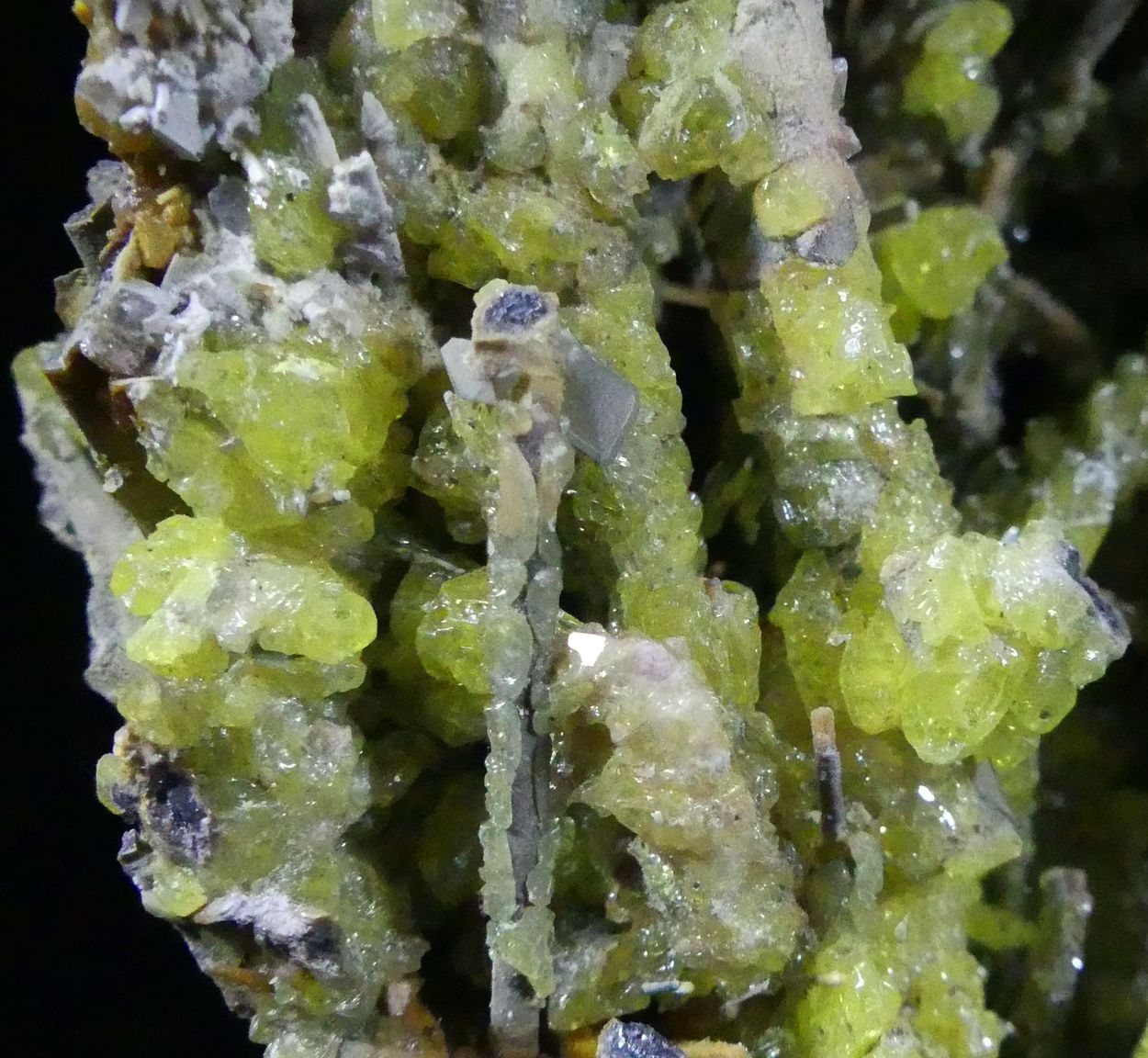 Sénarmontite Native Sulphur Cervantite & Stibiconite Psm Stibnite On Stibnite