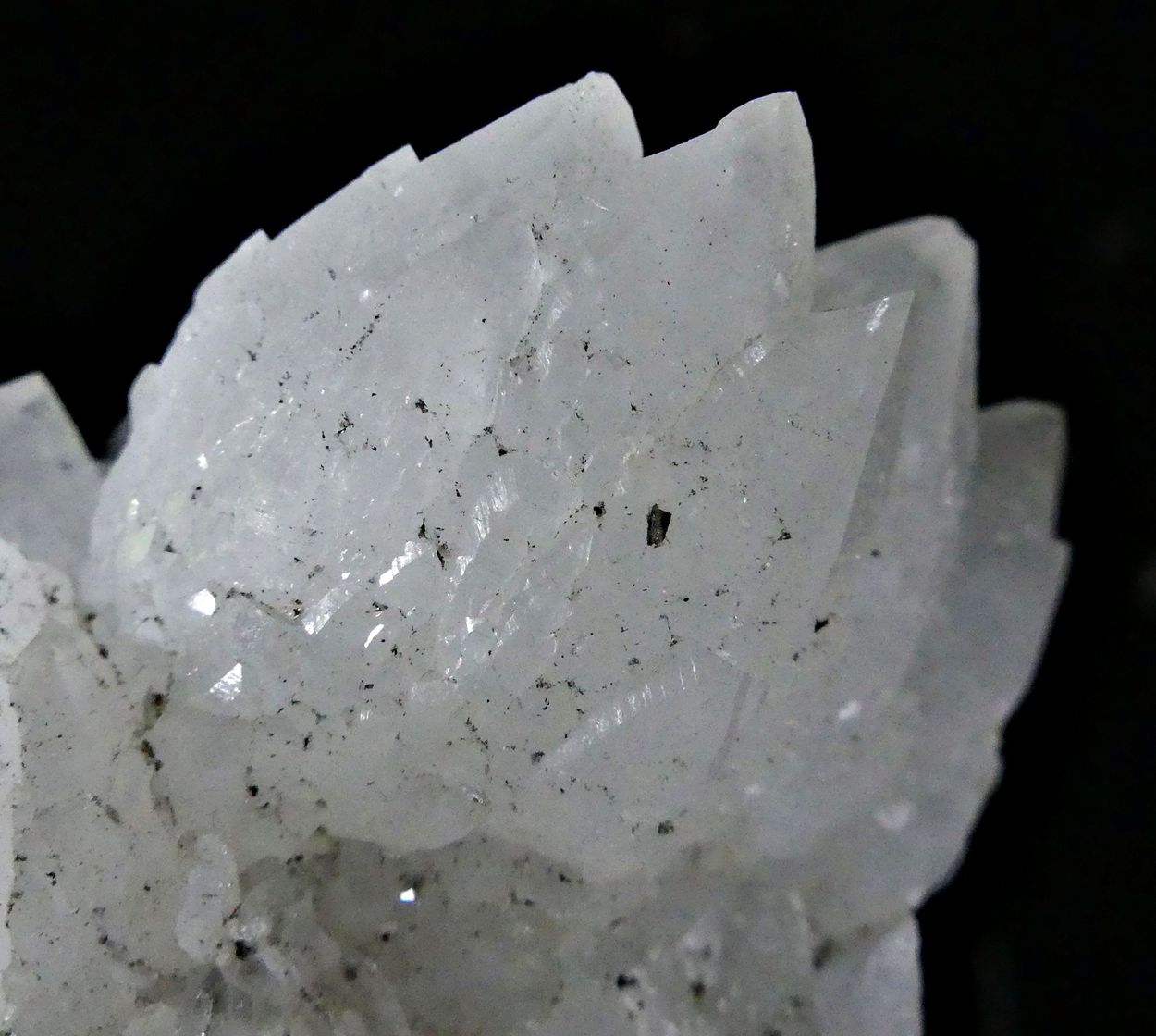 Artichoke Quartz With Chalcopyrite