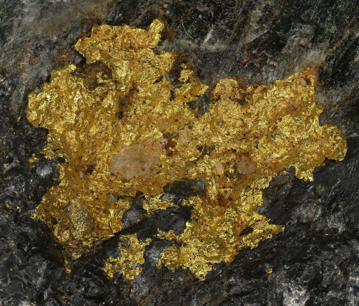 Native Gold On Biotite