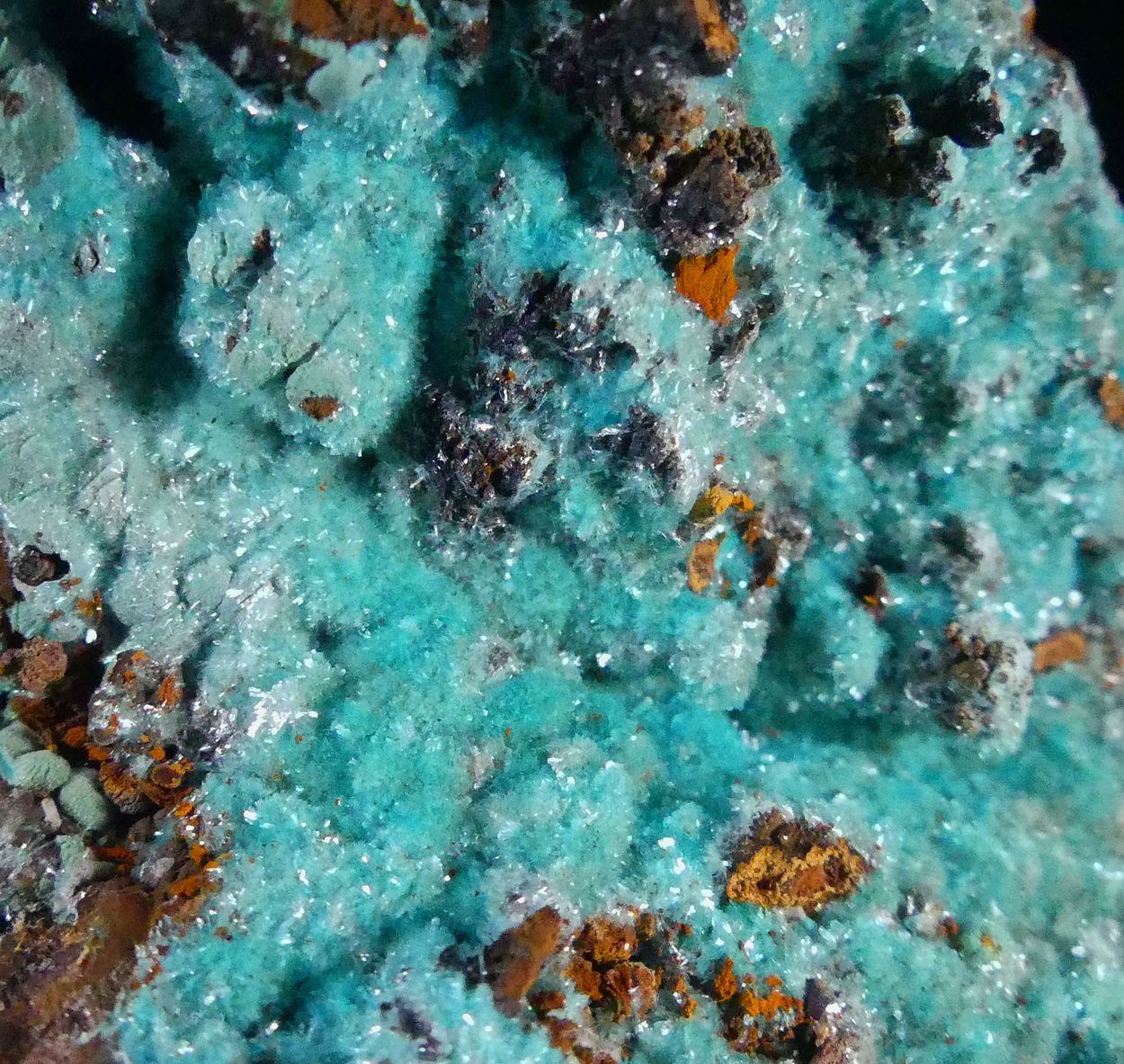 Aurichalcite With Cuprian Smithsonite & Malachite Psm Azurite